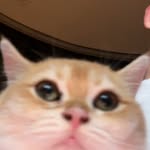 knightmediaaa profile picture