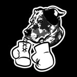knuckletherapy profile picture