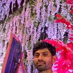 koala.269232 profile picture
