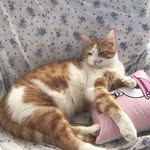 kocaadamrecep profile picture
