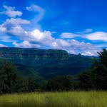 kokani_mulga_02.official profile picture