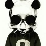 kokos3239 profile picture
