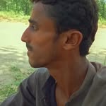 kolachimoshin profile picture