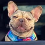 kolbieandkeeva profile picture