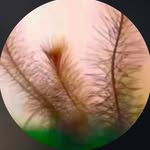 komal__here__for__u profile picture