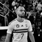 komaromigyuszi11 profile picture