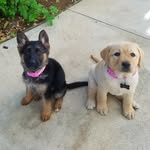 kona.and.nala profile picture