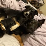 konaandlilo profile picture