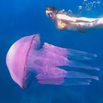 kookylovestotravel profile picture