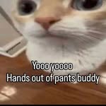 kool_owl__ profile picture