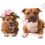 koota_murphy profile picture