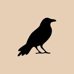 korakia profile picture