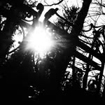 kosmos_olunen profile picture