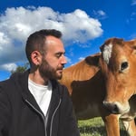koydeben profile picture