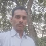 kpmaurya31 profile picture