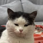 kradushchiysia_ilbirs profile picture