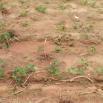 kranti_kari_bhai profile picture