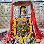 krashna_mule profile picture