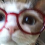 krenn_edy profile picture