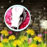 krishna450514_official profile picture