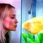 kristeningersoll profile picture