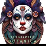 krumblweed profile picture