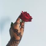 krushbeauty_ profile picture