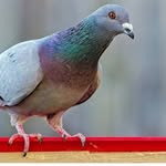 ksub46487 profile picture