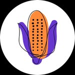 kukurudza.blog profile picture