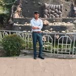 kuldeep838290 profile picture