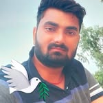 kuldeep_pandey123 profile picture