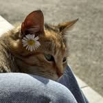 kulsum_suk profile picture