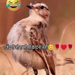 kunal4700singh profile picture
