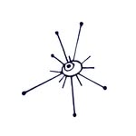 kuranda_agencia profile picture