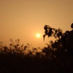 kviramps profile picture