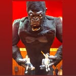 kwnstantinosmarkoullis profile picture