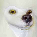 kwvvme profile picture