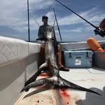 kylelinge profile picture