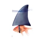 kylepollack profile picture