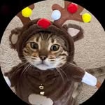 kys.diversao profile picture