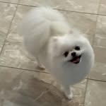 kyyiiil profile picture