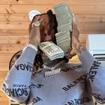 kyyngg profile picture