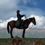 kyzarthorses profile picture