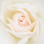 l.v.couture profile picture