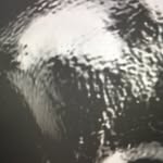 la_colonia_studio profile picture