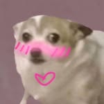 la_memensa profile picture