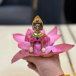 laadli_ji_poshak profile picture