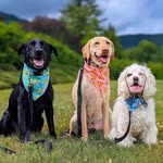 labragoobs_and_bogey profile picture