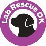 labrescueokinc profile picture