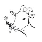 lacabracoffee profile picture